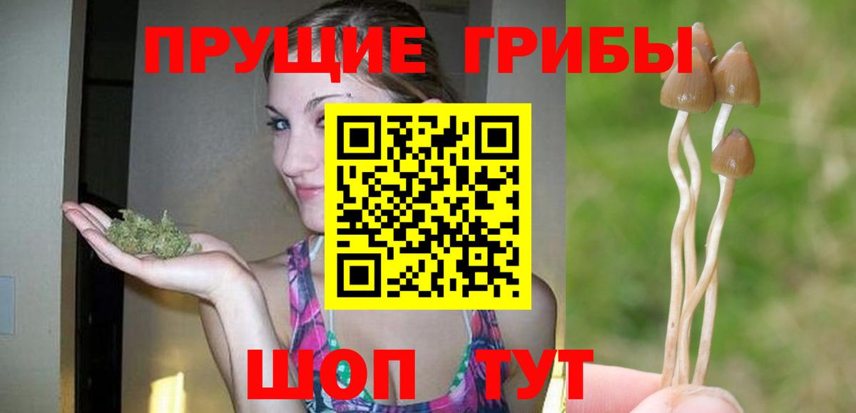 Галлюциногенные грибы мицелий  Вход с VPN  Галлюциногенные грибы Psilocybine cubensis  хочу наркоту  Чита 